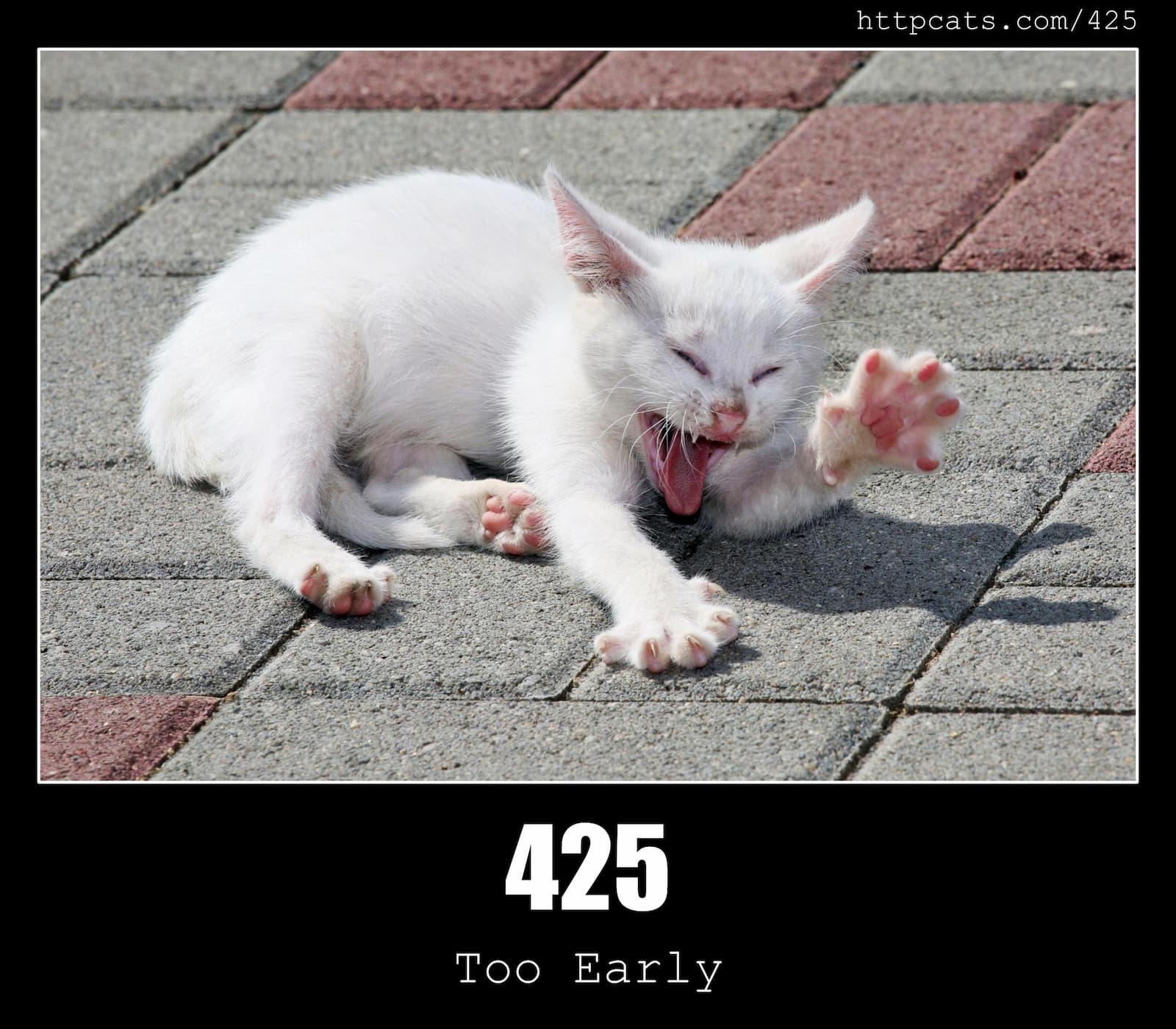 425 Too Early HTTP Status Code And Cats 