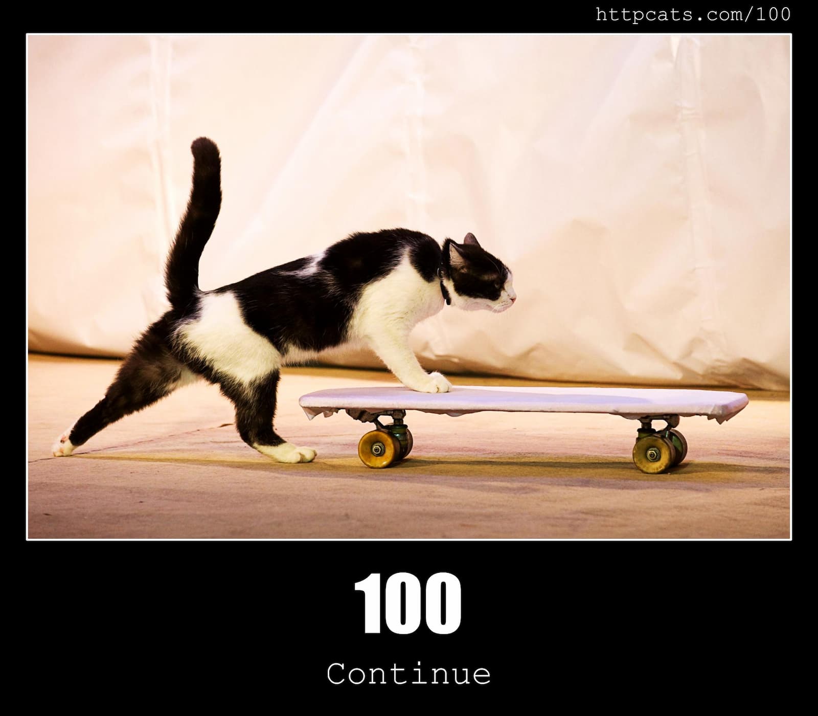 HTTP Status Code 100 Continue & Cats