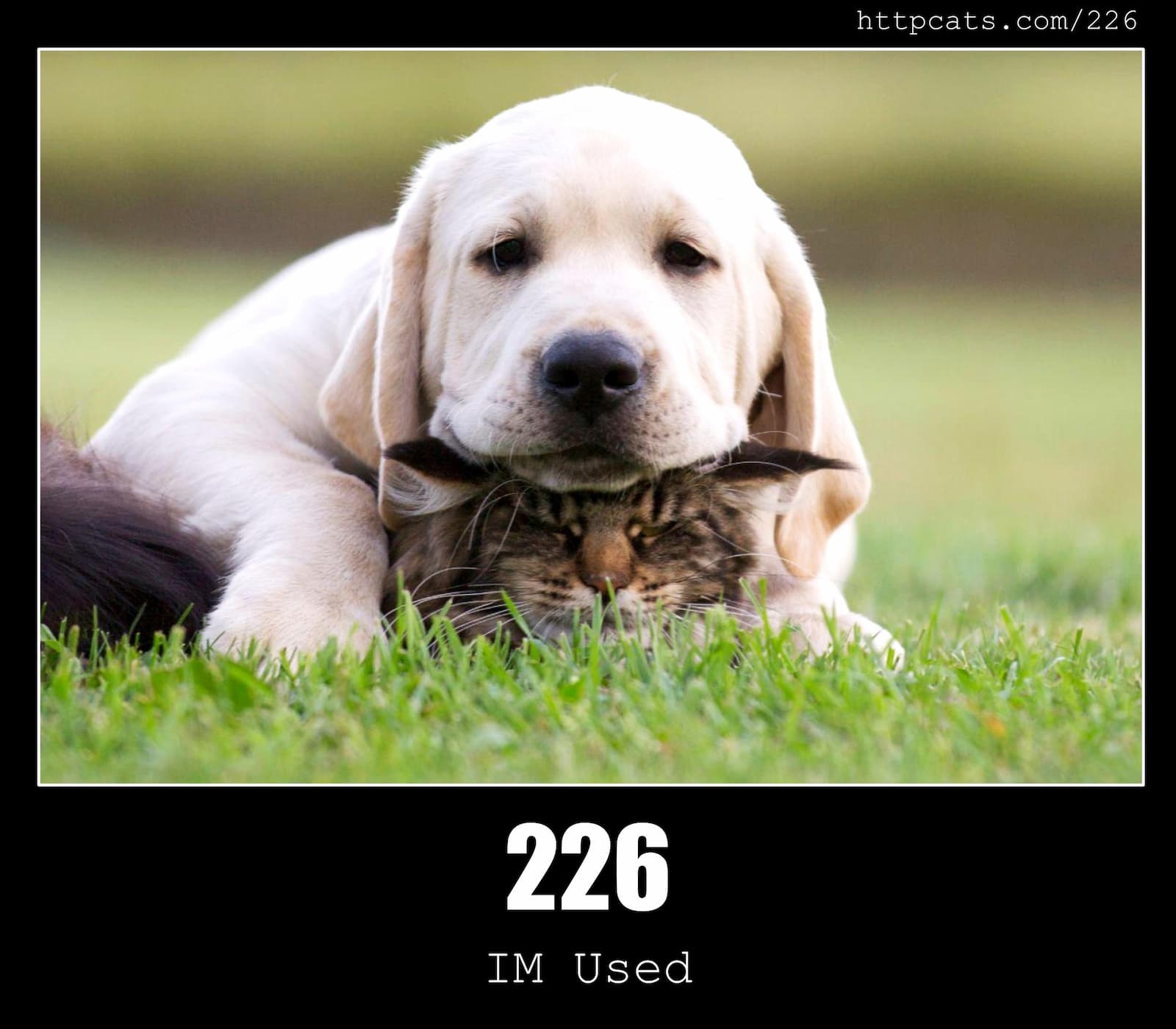HTTP Status Code 226 IM Used & Cats