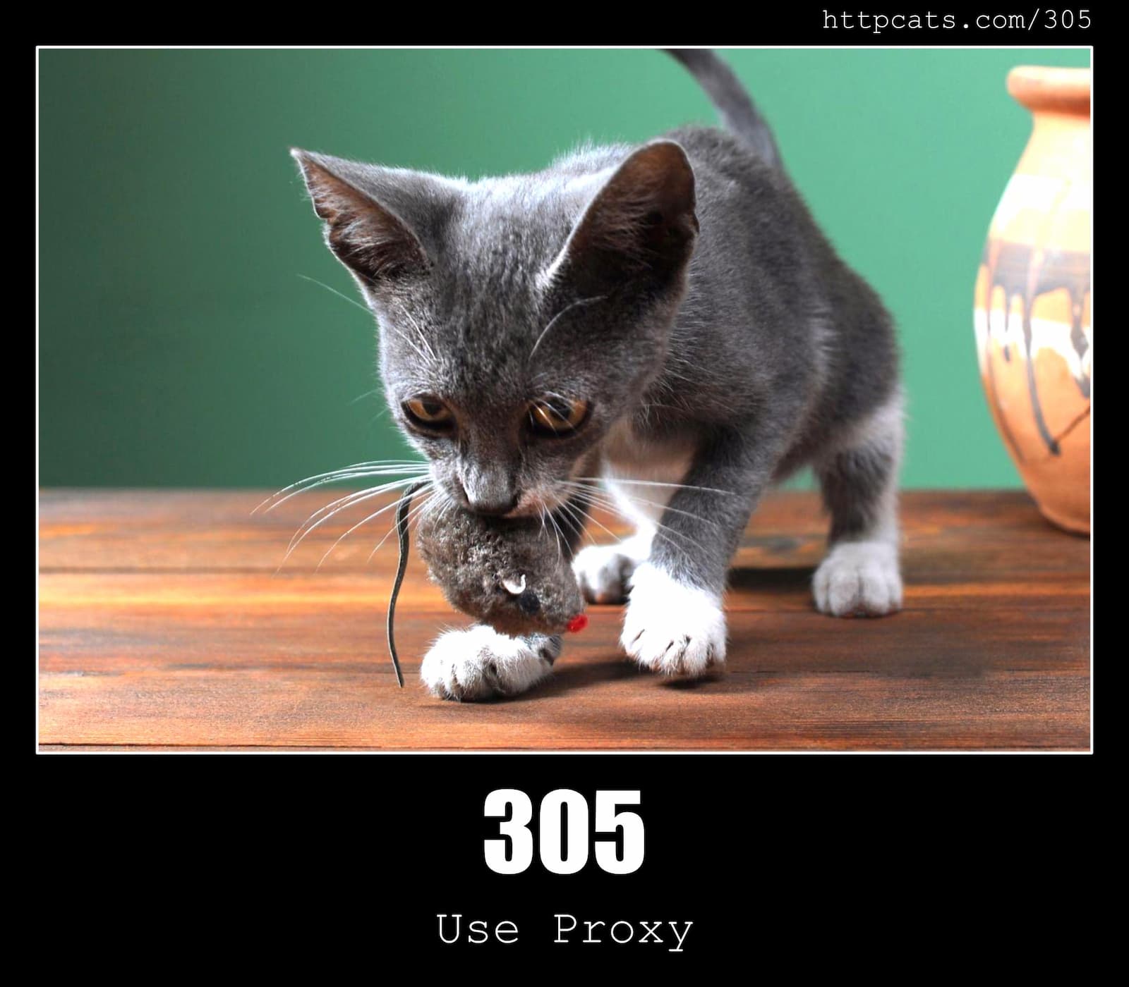HTTP Status Code 305 Use Proxy & Cats