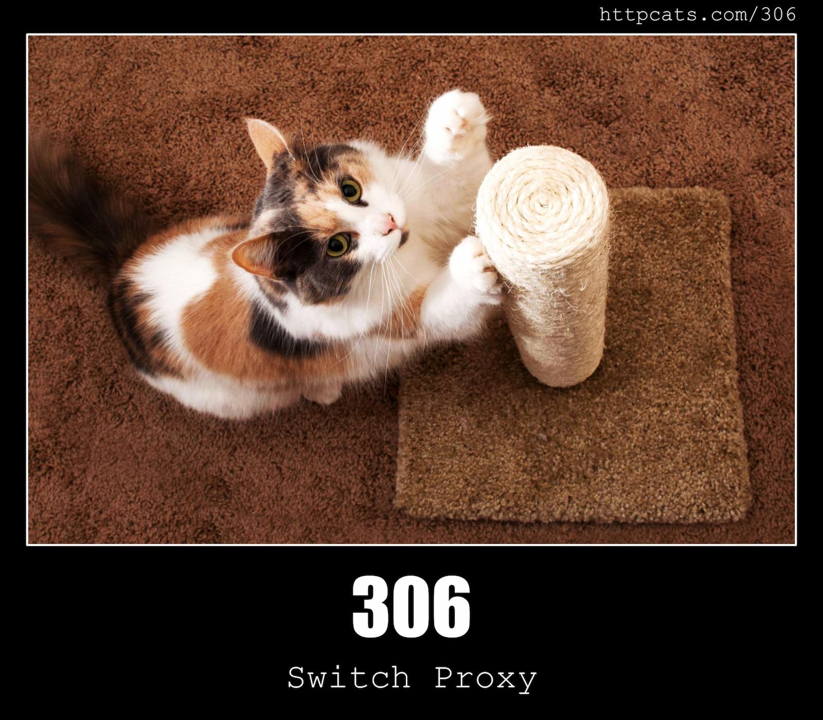 HTTP Status Code 306 Switch Proxy & Cats