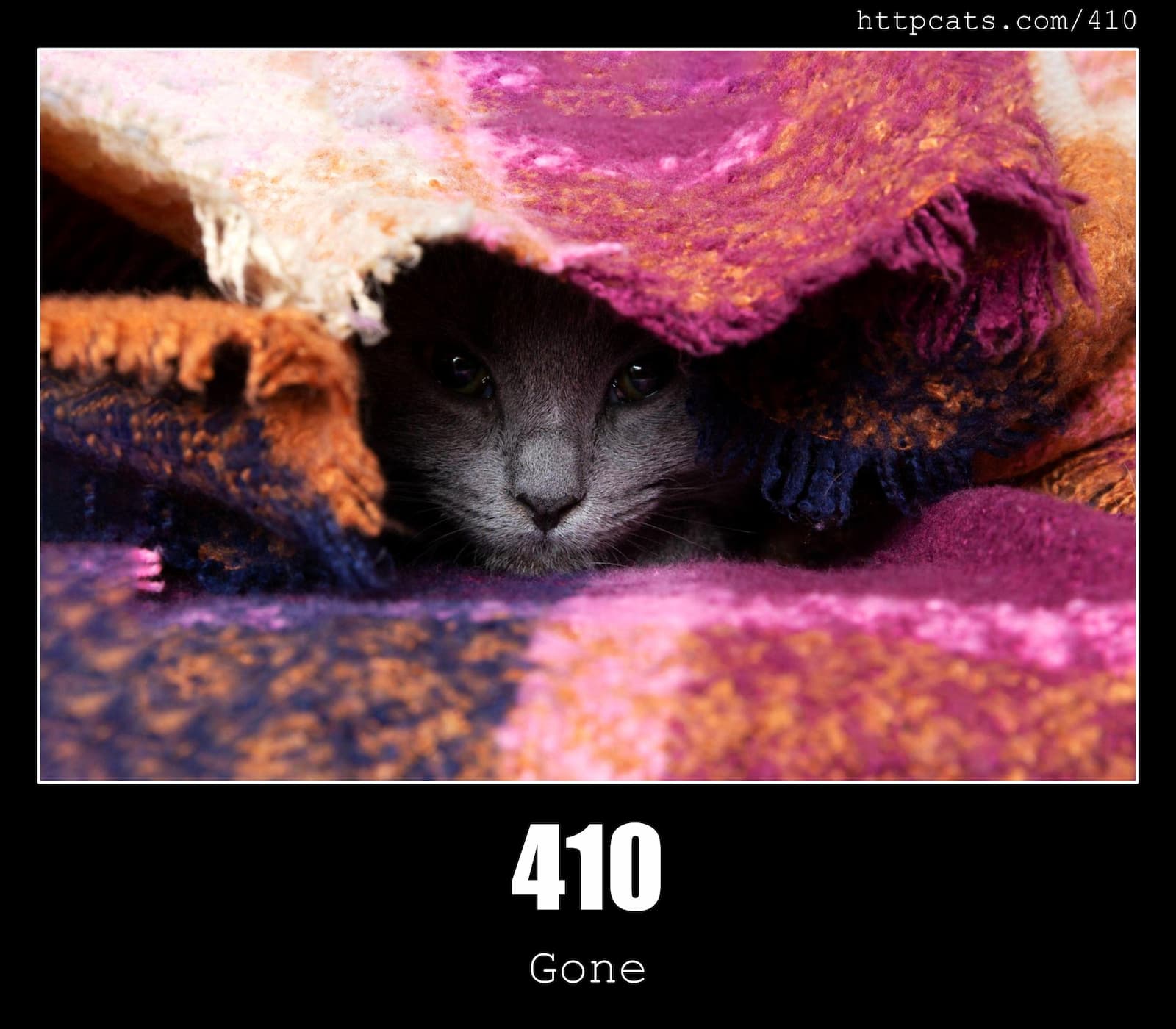 HTTP Status Code 410 Gone & Cats