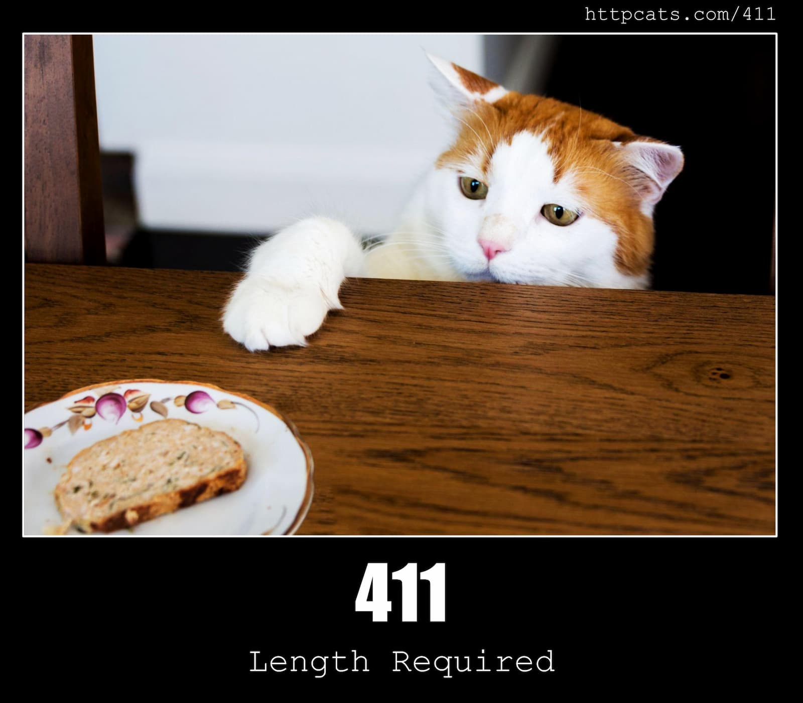 HTTP Status Code 411 Length Required & Cats