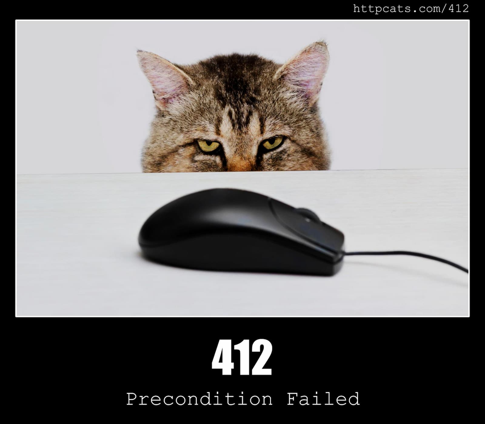 HTTP Status Code 412 Precondition Failed & Cats