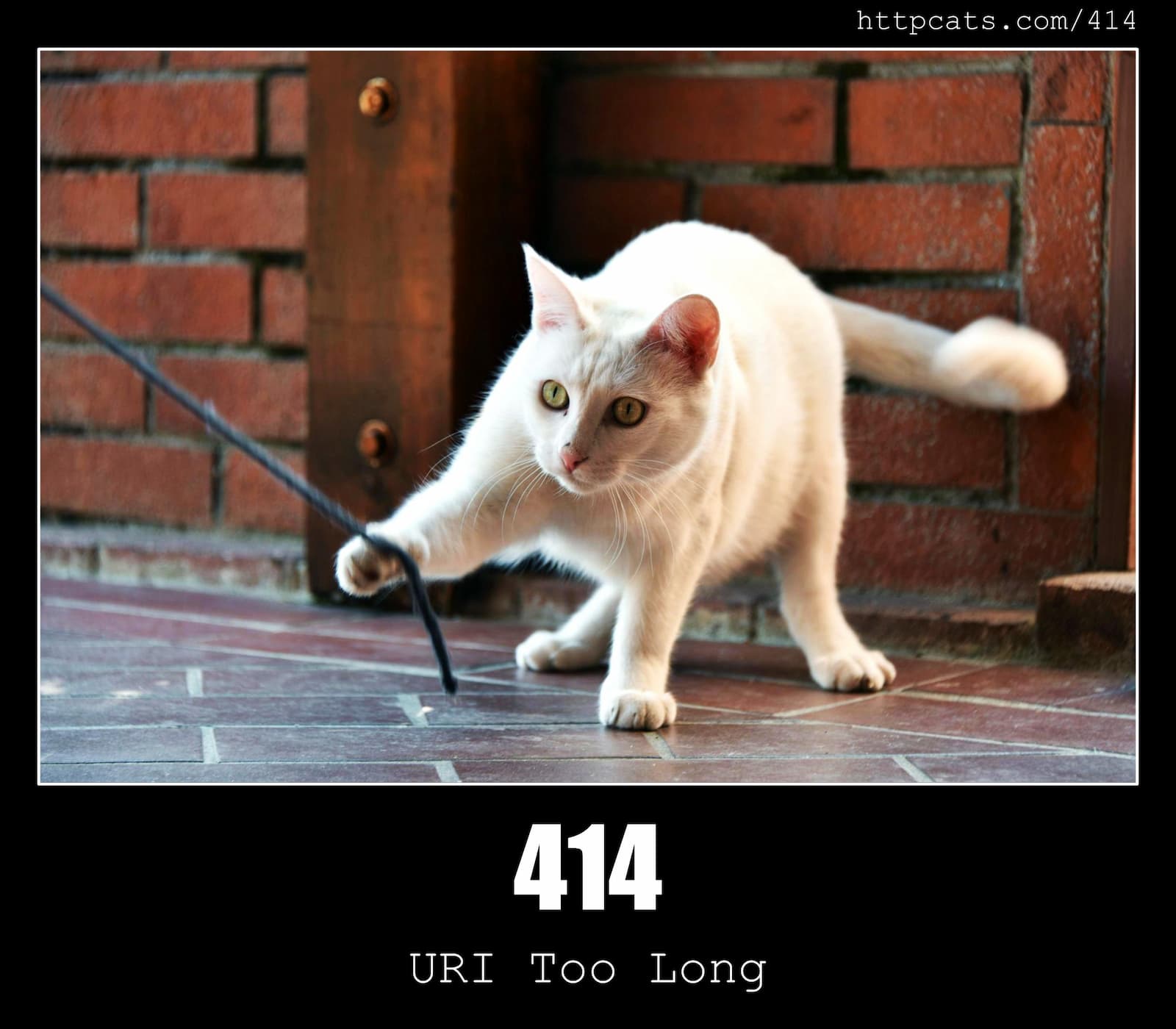 HTTP Status Code 414 URI Too Long & Cats