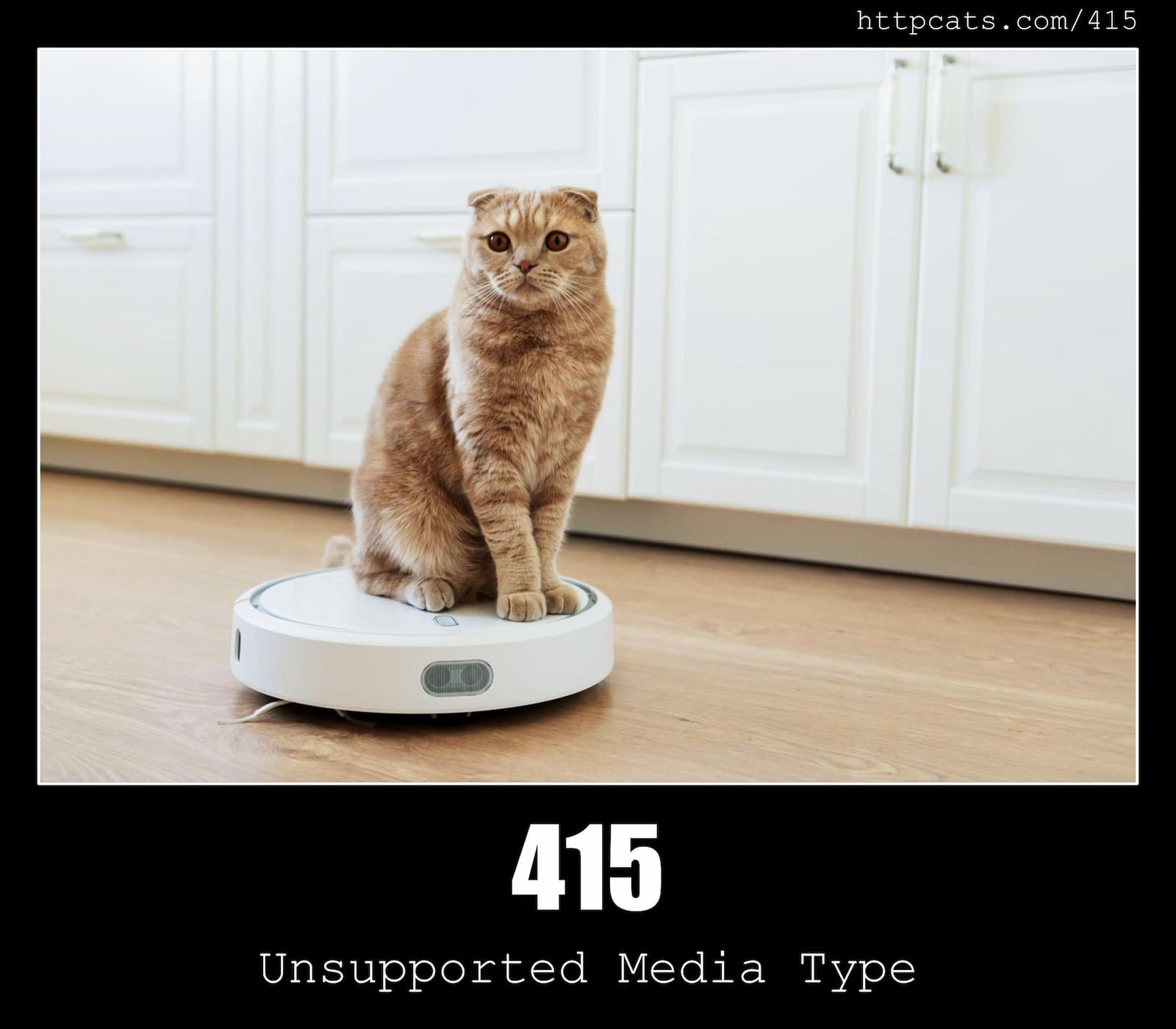 HTTP Status Code 415 Unsupported Media Type & Cats