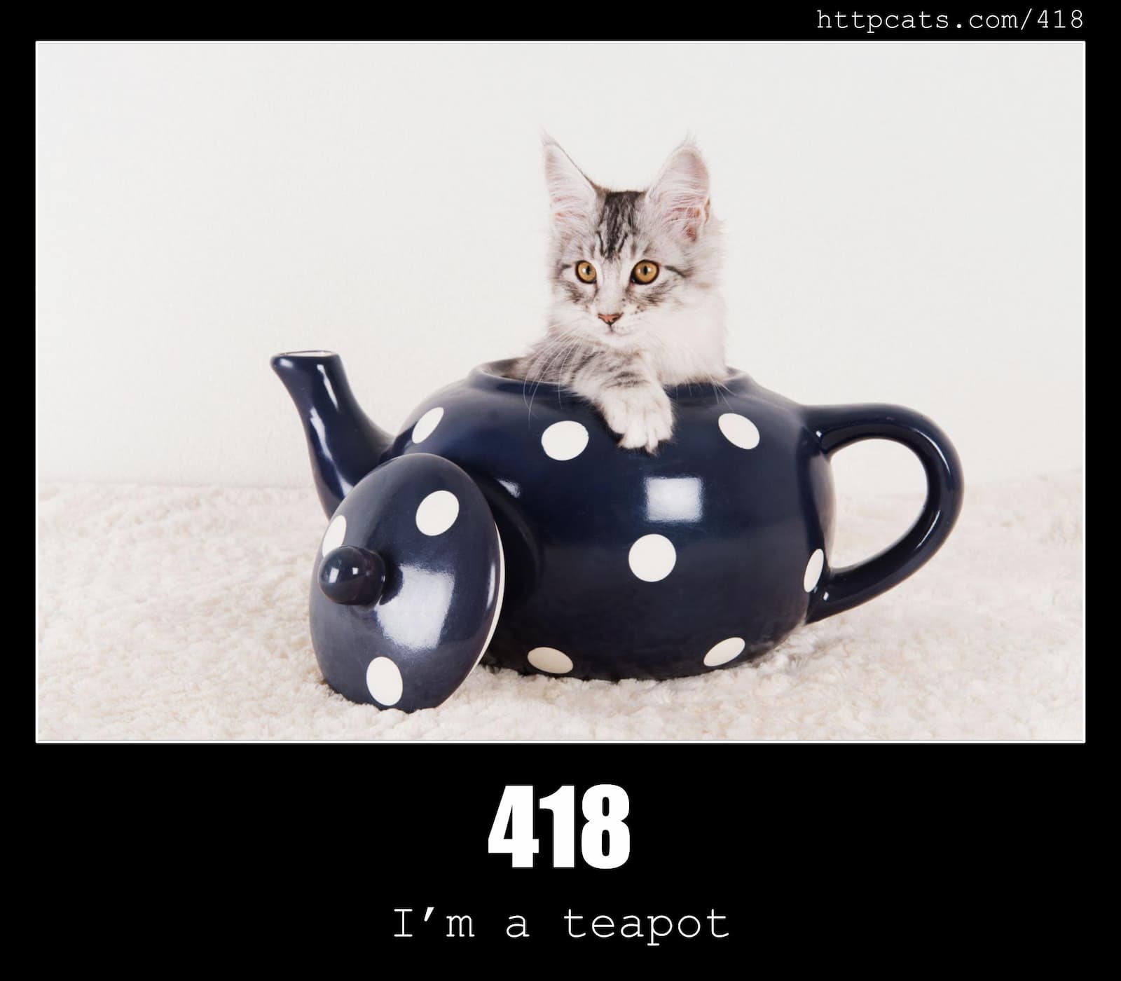 HTTP Status Code 418 I'm a teapot & Cats