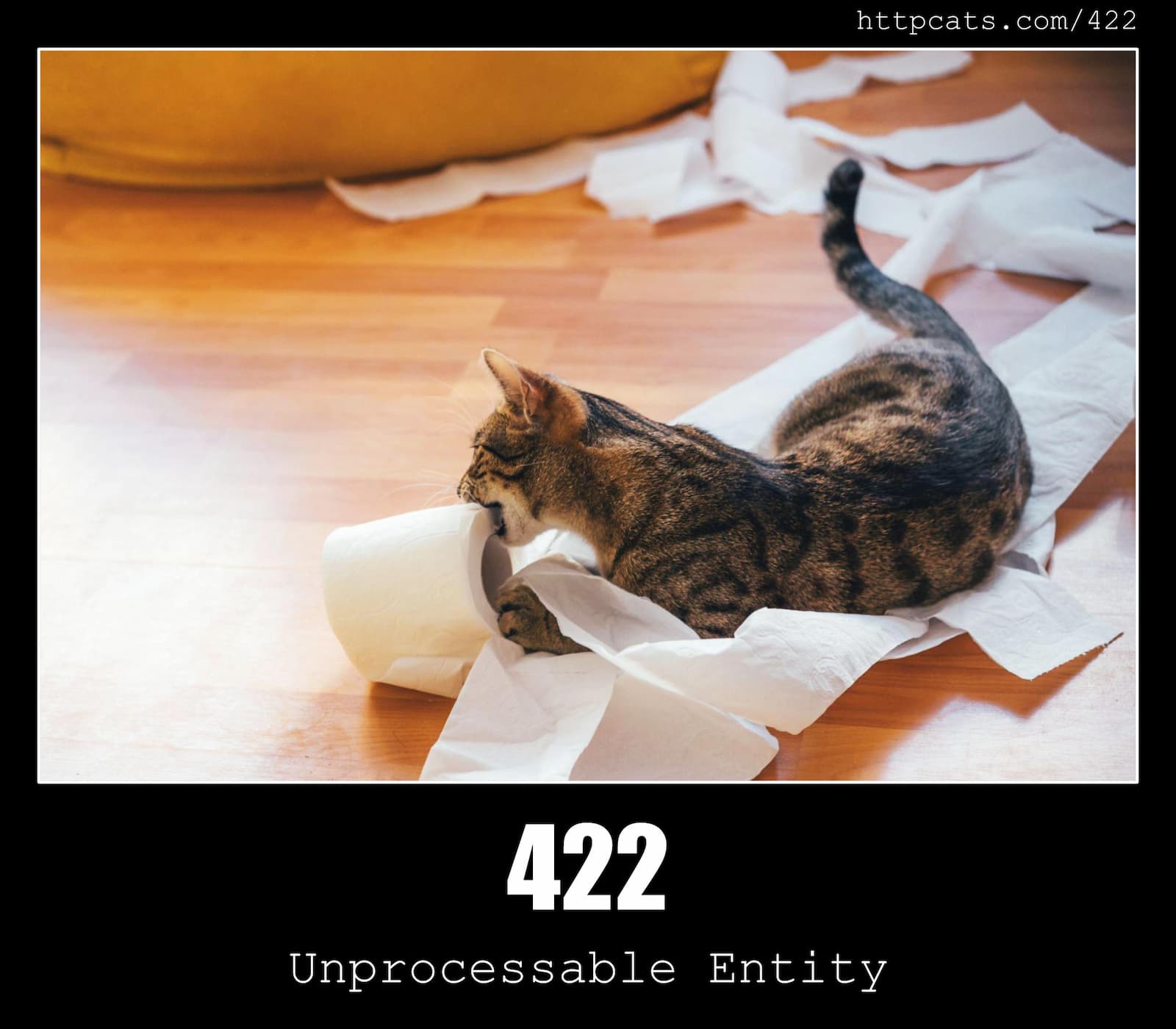 HTTP Status Code 422 Unprocessable Entity & Cats