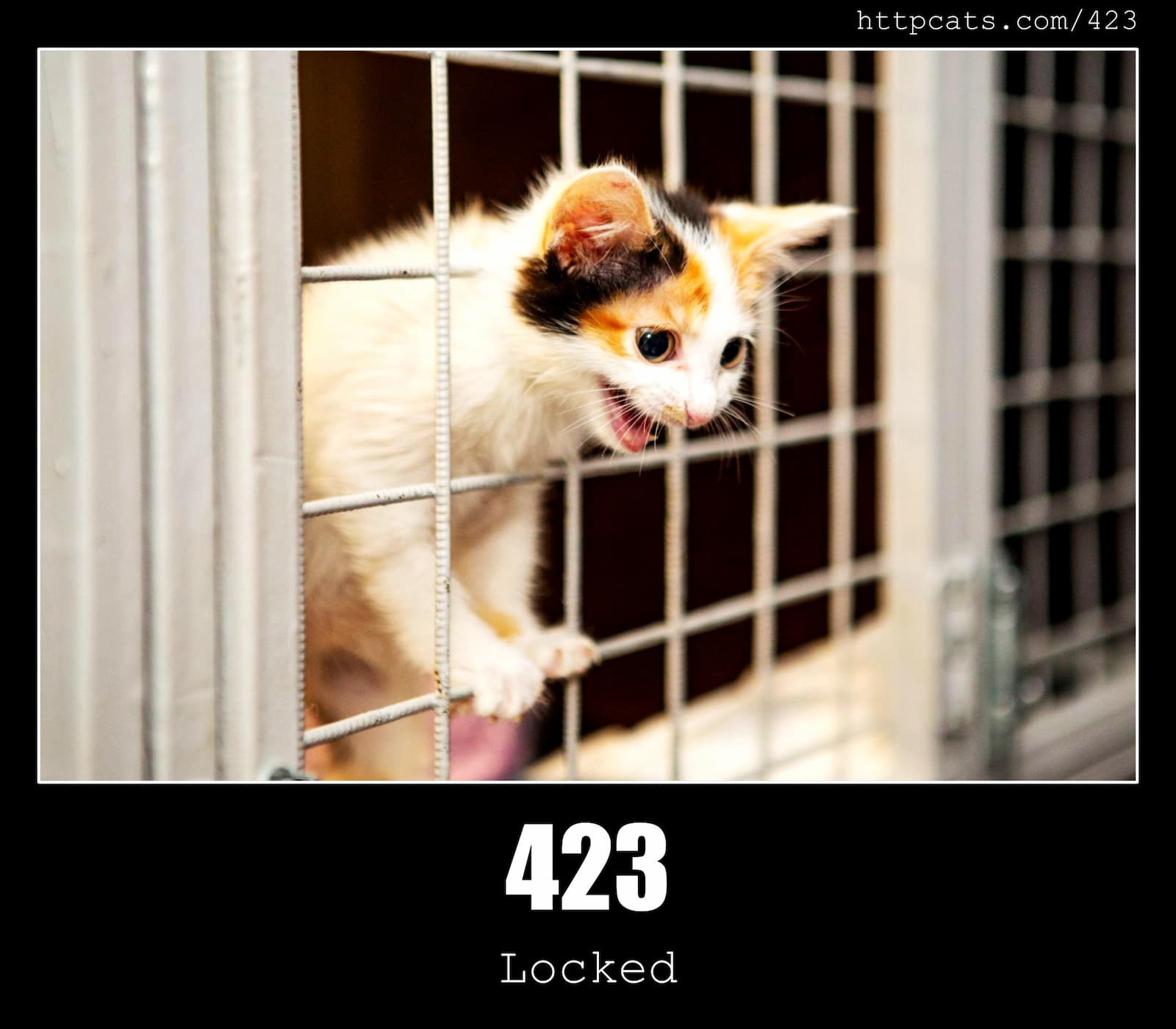 HTTP Status Code 423 Locked & Cats