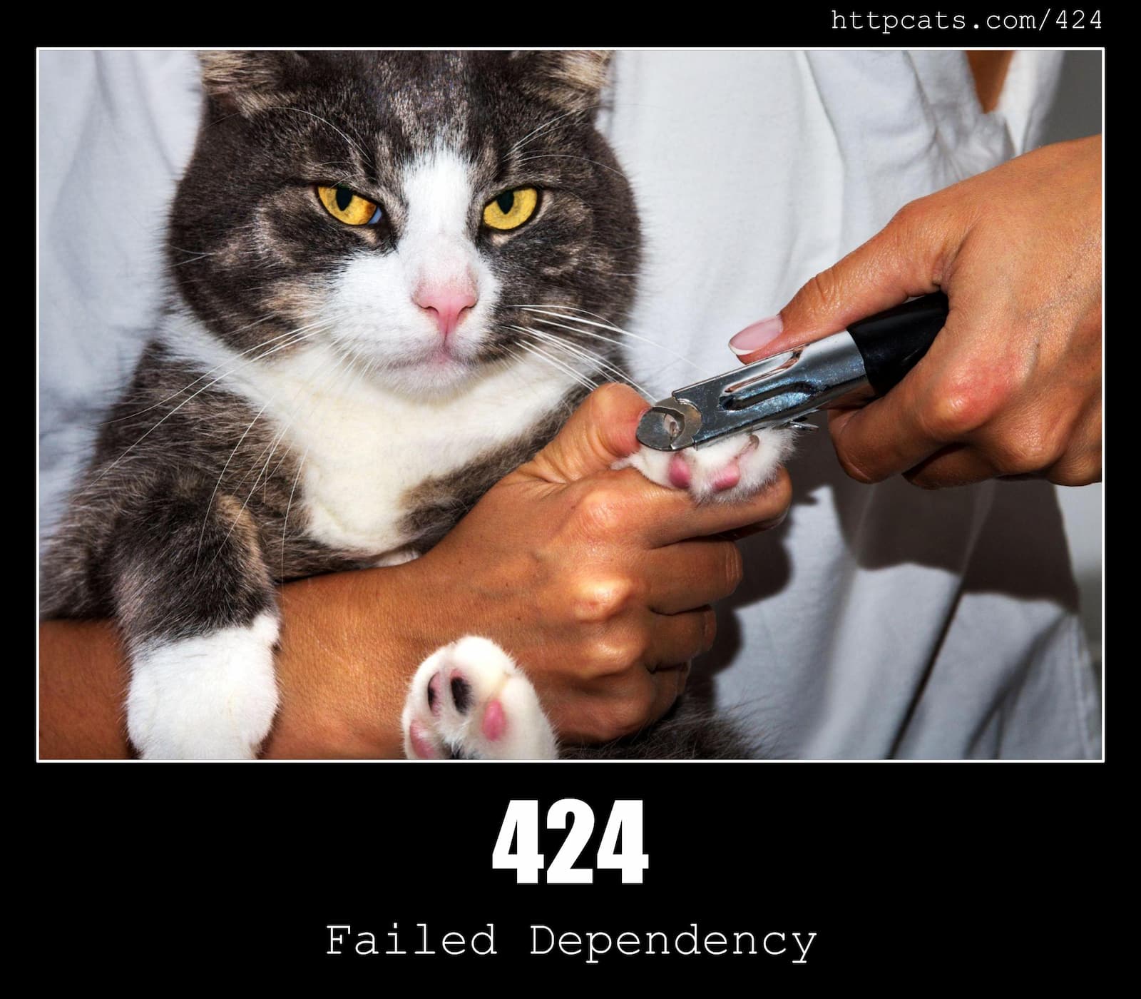 HTTP Status Code 424 Failed Dependency & Cats