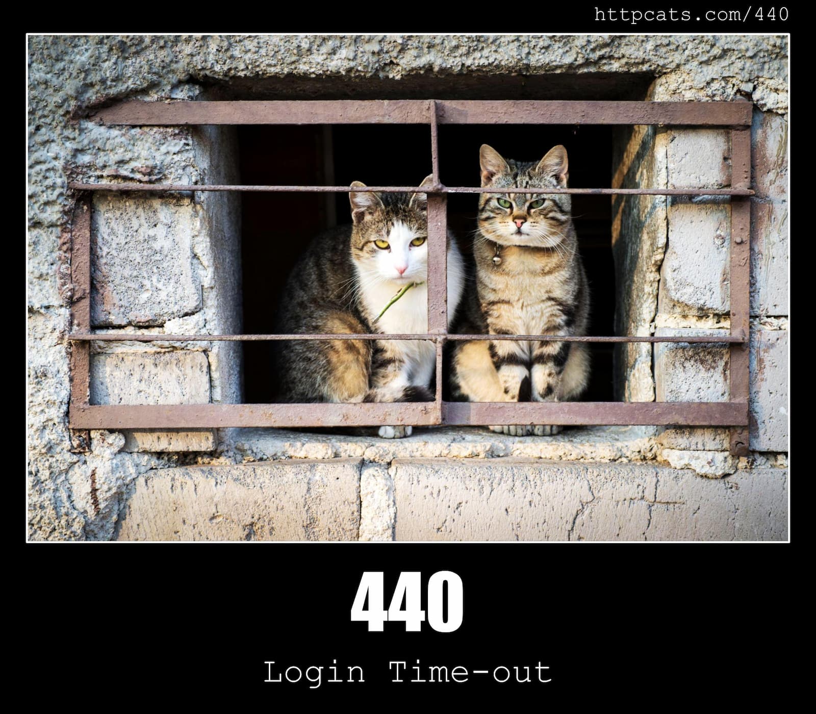 HTTP Status Code 440 Login Time-out & Cats