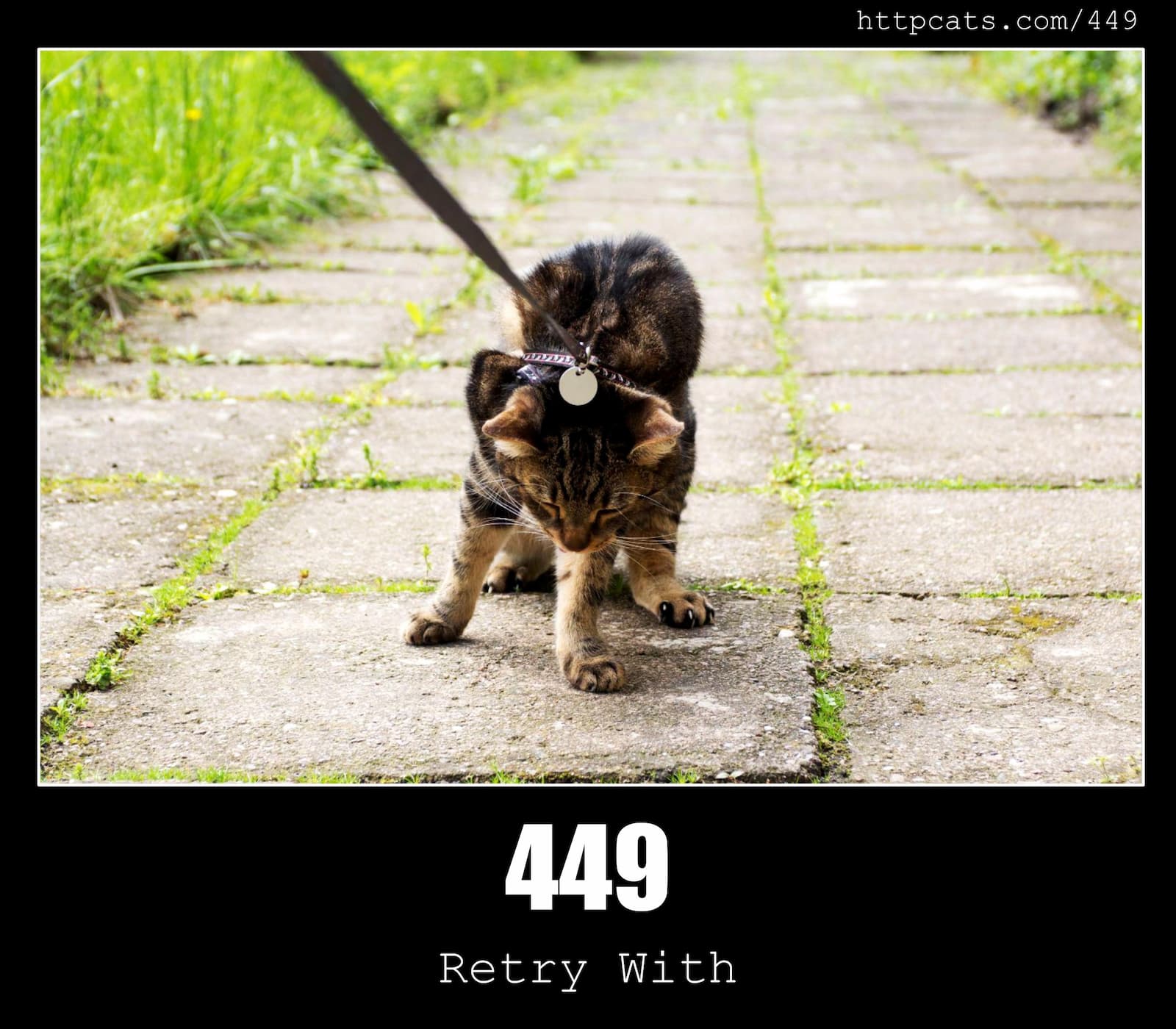 HTTP Status Code 449 Retry With & Cats