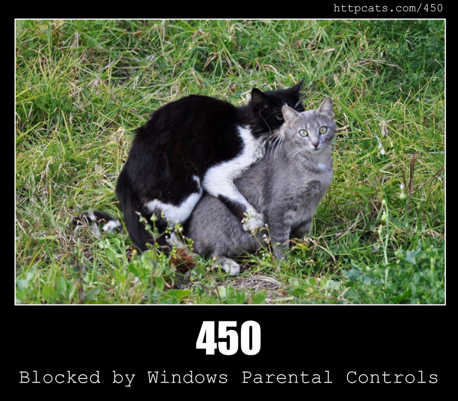 HTTP Status Code 450 Blocked by Windows Parental Controls & Cats