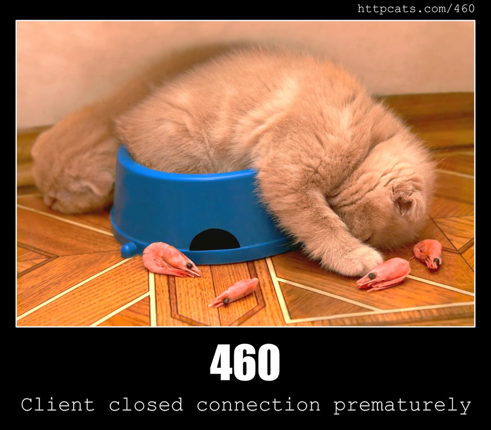 HTTP Status Code 460 Client closed connection prematurely