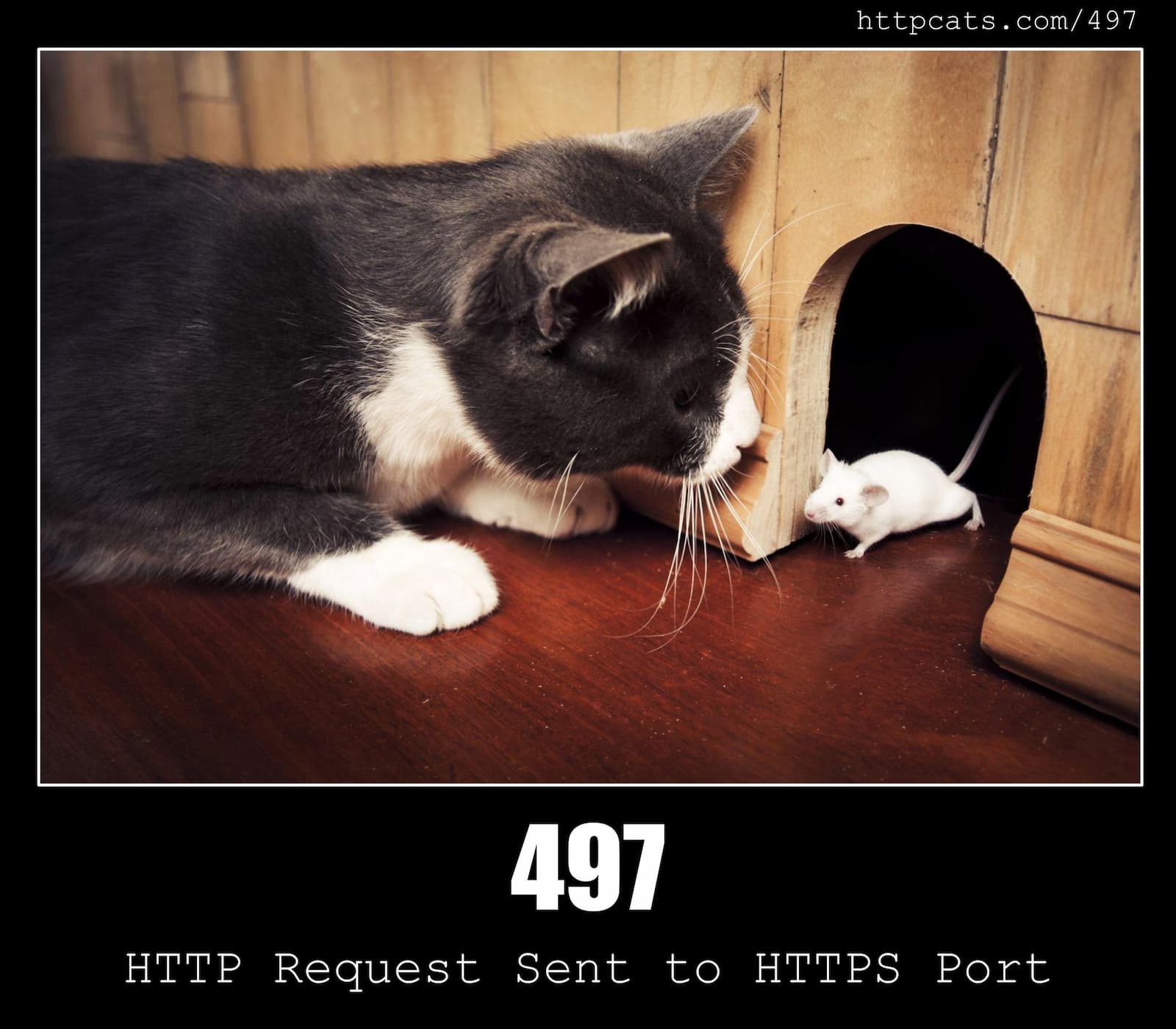 HTTP Status Code 497 HTTP Request Sent to HTTPS Port & Cats
