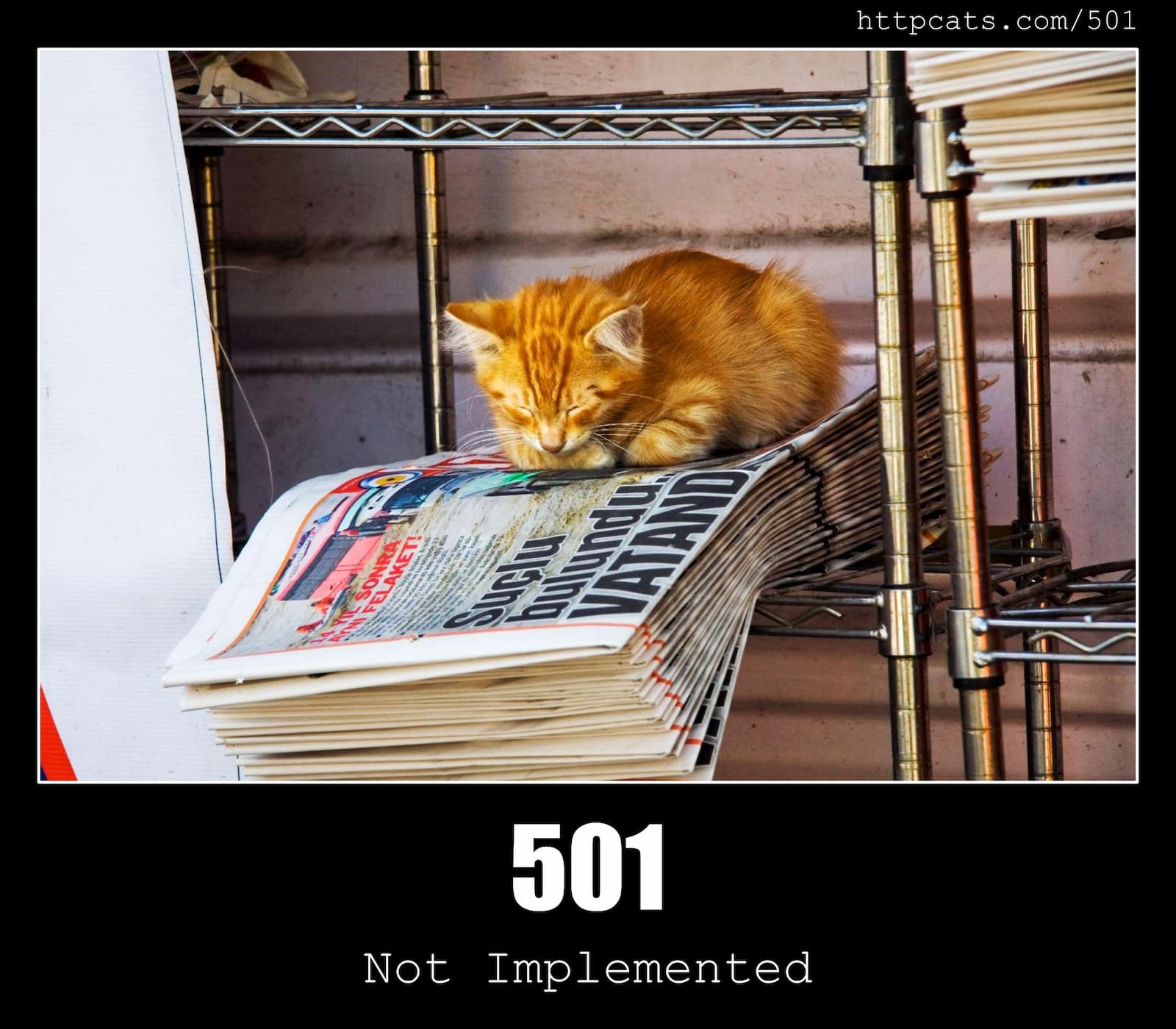 HTTP Status Code 501 Not Implemented & Cats