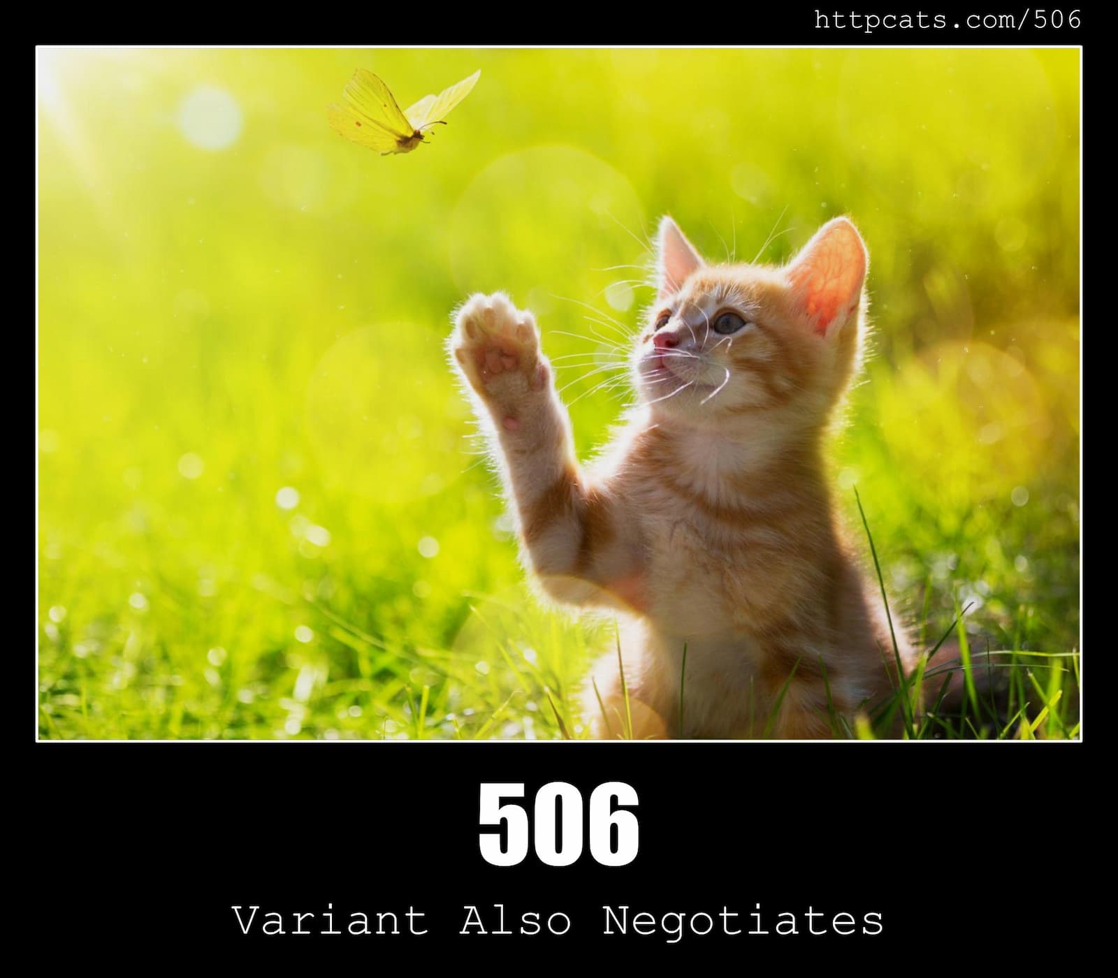 HTTP Status Code 506 Variant Also Negotiates & Cats