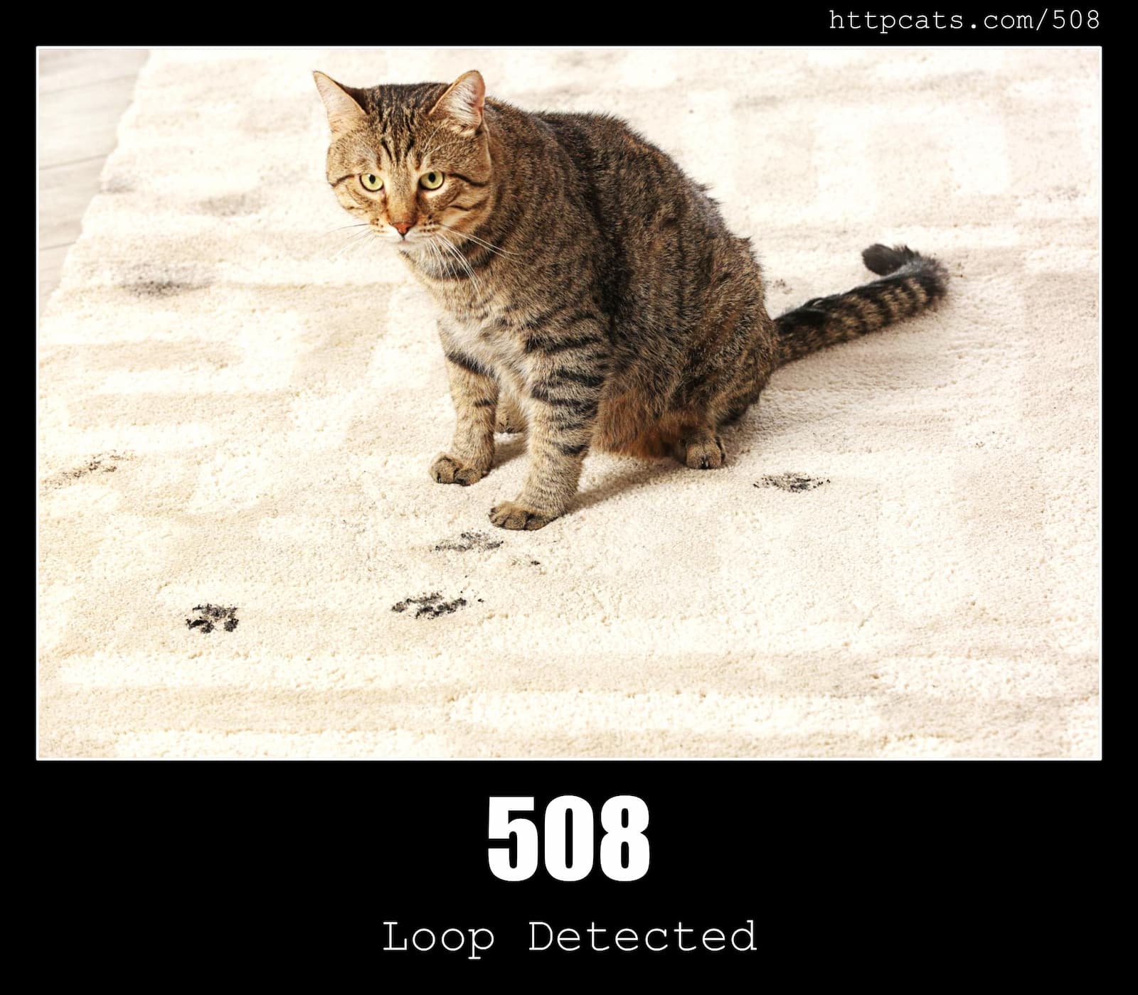 HTTP Status Code 508 Loop Detected & Cats