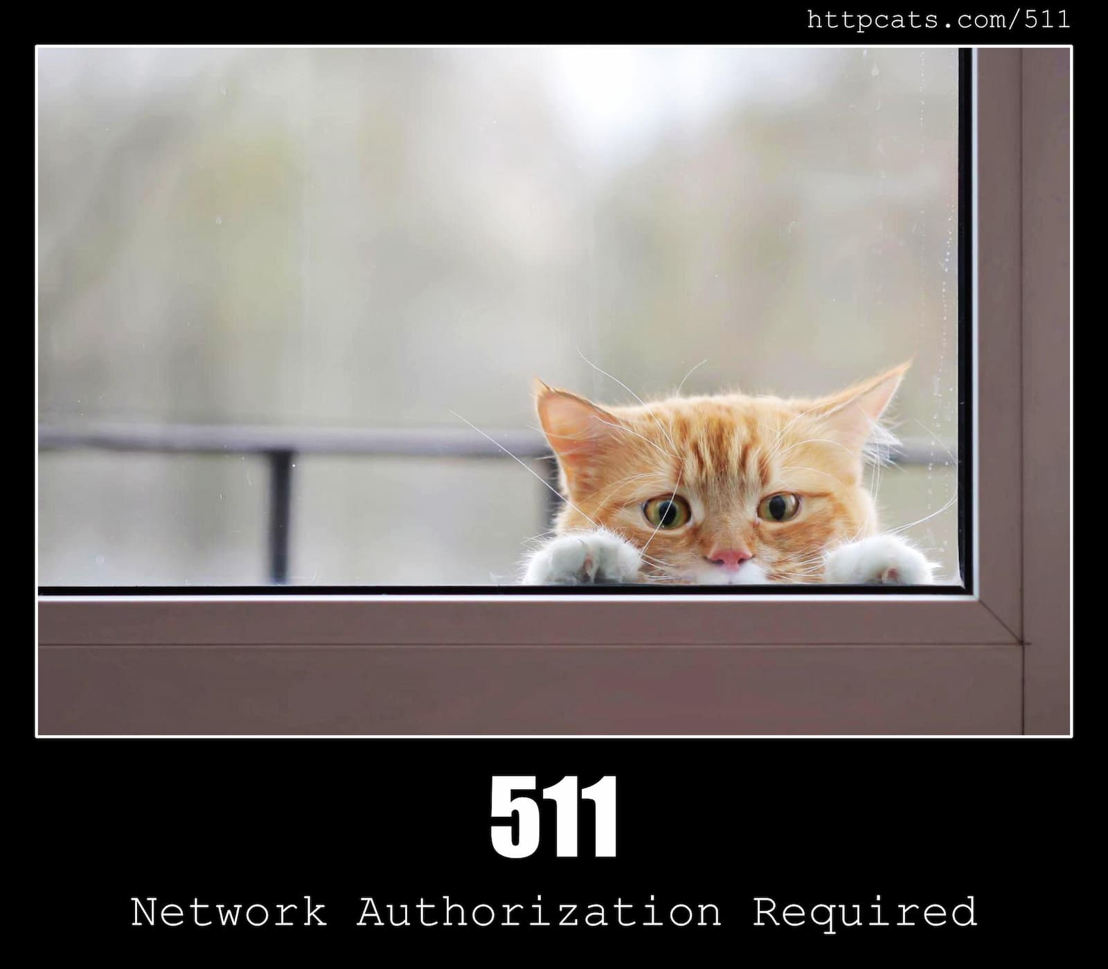 HTTP Status Code 511 Network Authentication Required & Cats