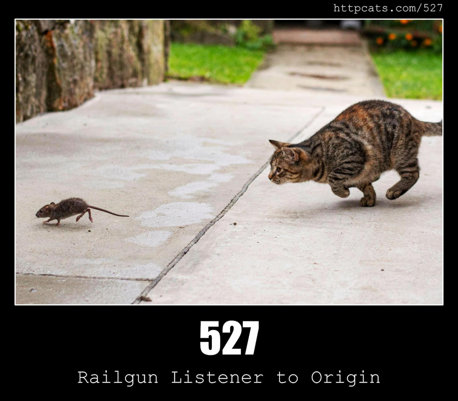 HTTP Status Code 527 Railgun Listener to Origin & Cats