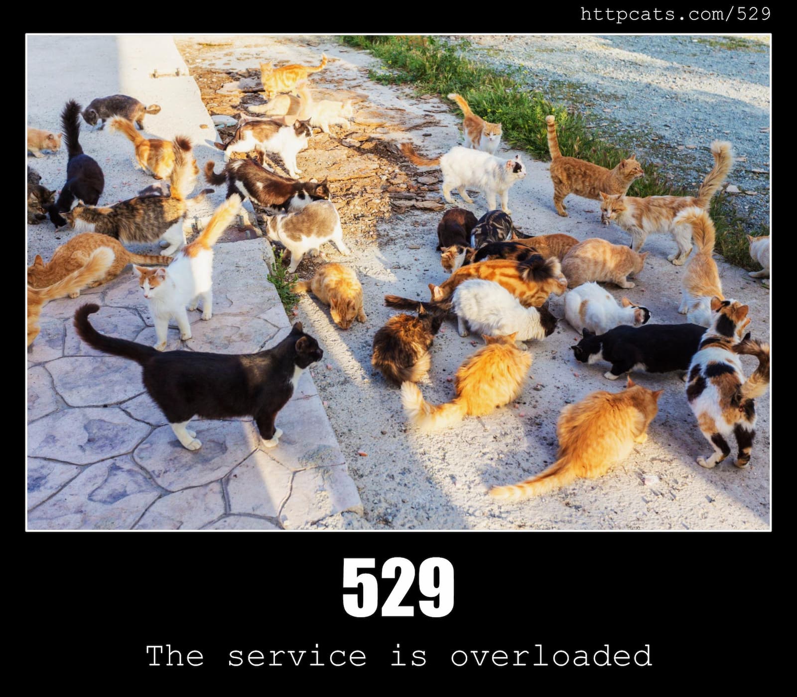 HTTP Status Code 529 The service is overloaded & Cats
