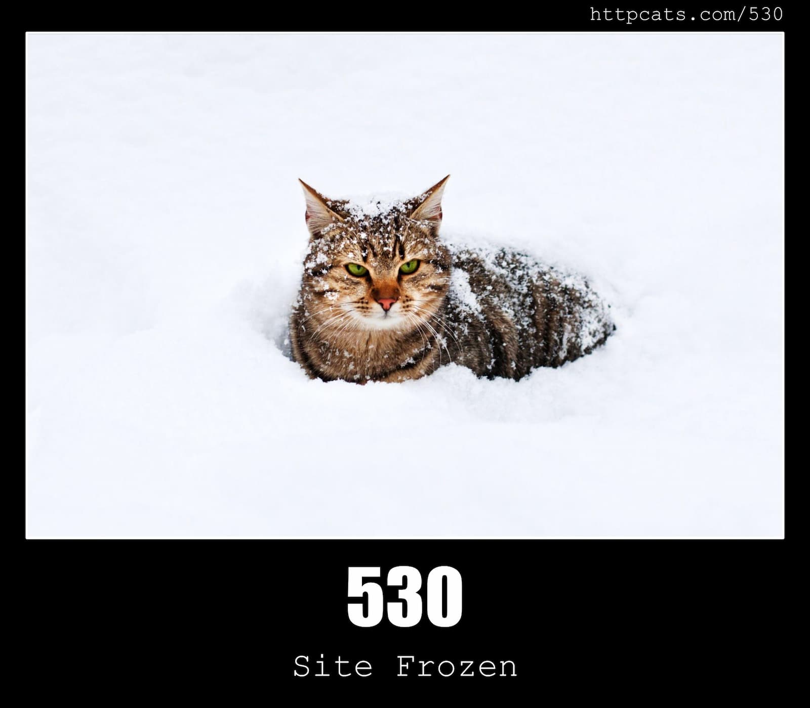 HTTP Status Code 530 Site Frozen & Cats