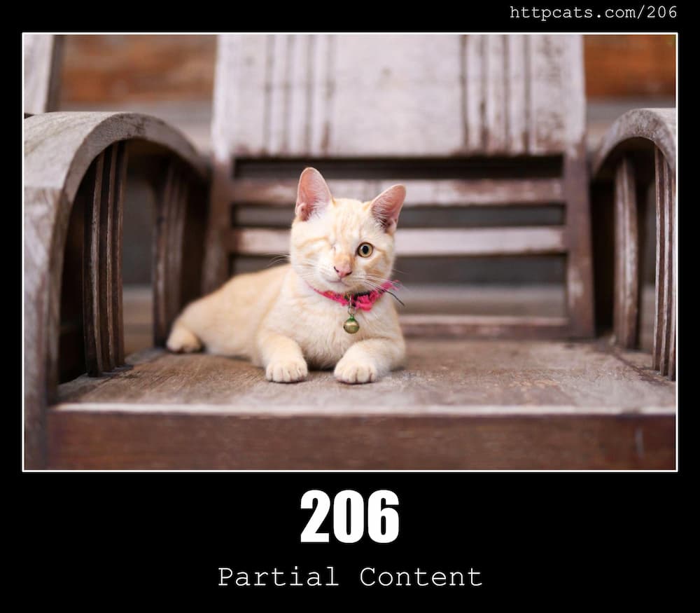 http status 206 partial content