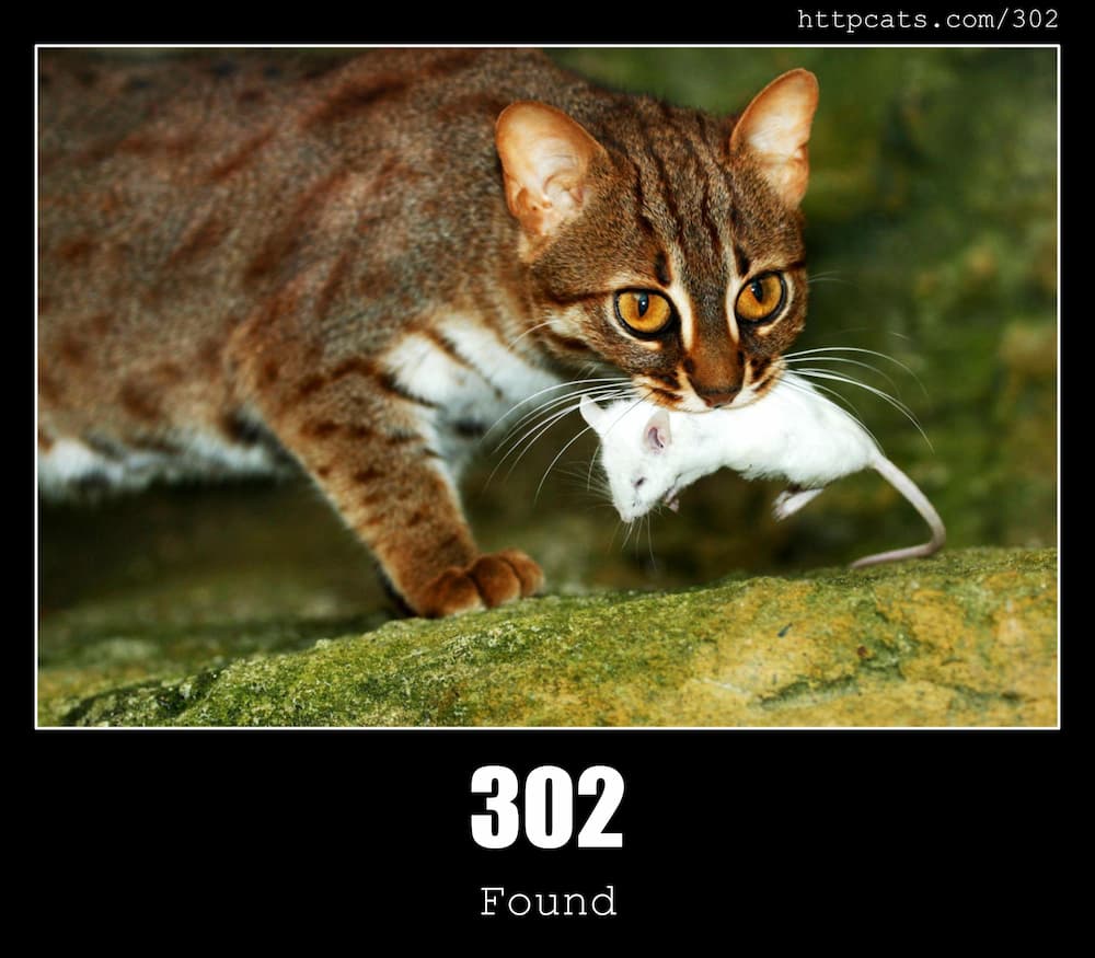 302 Found HTTP Status Code And Cats 