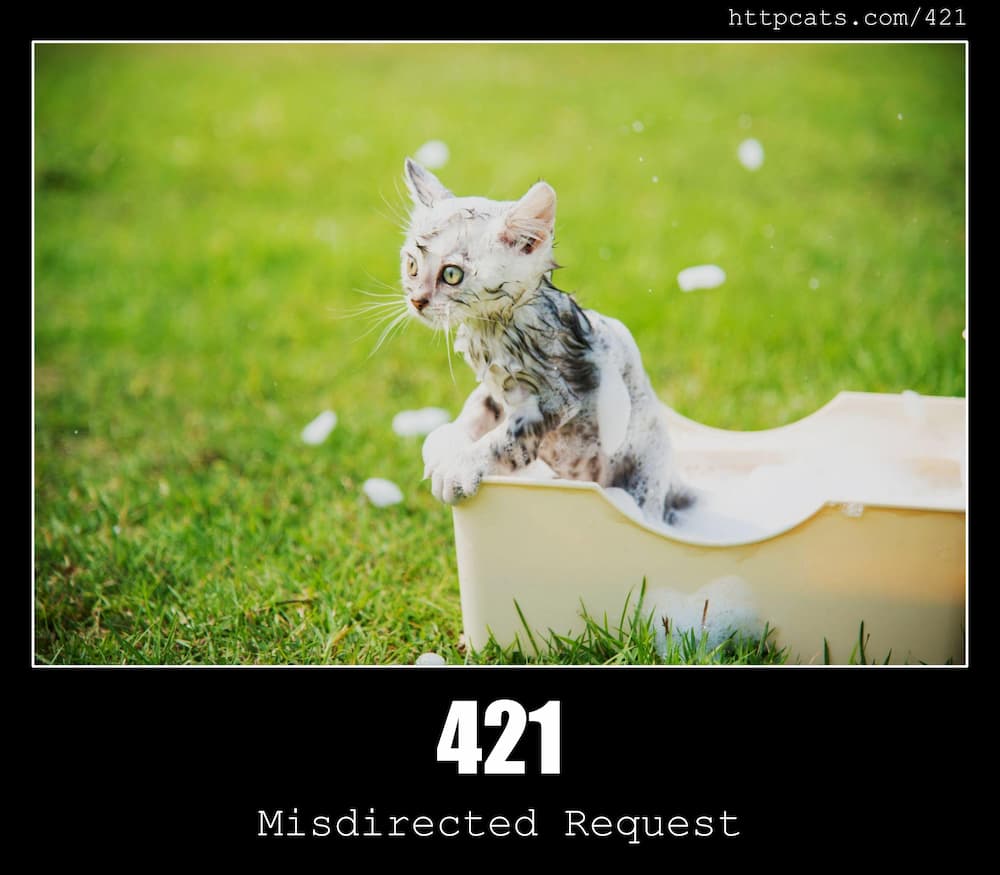 HTTP Status Cats API - A cat image for every HTTP Status Code