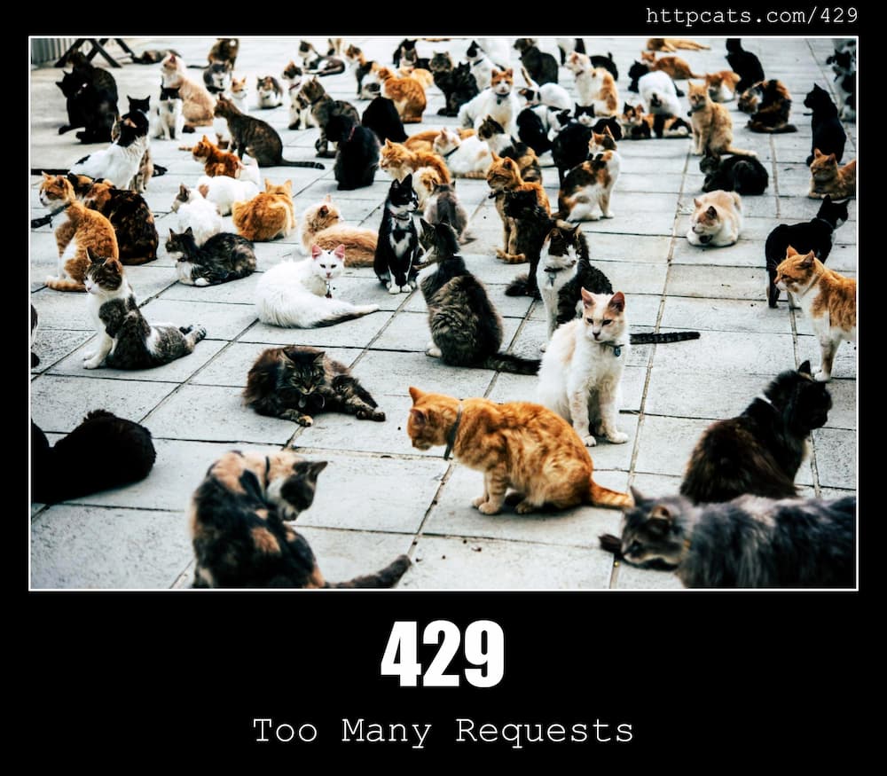 429-too-many-requests-http-status-code-and-cats