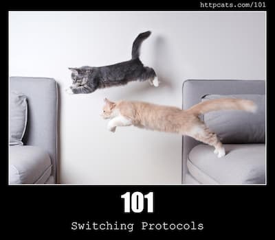 101 Switching Protocols & Cats