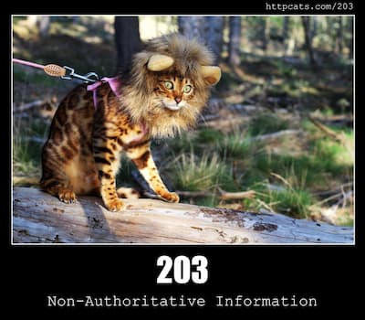203 Non-Authoritative Information