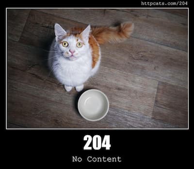 204 No Content & Cats
