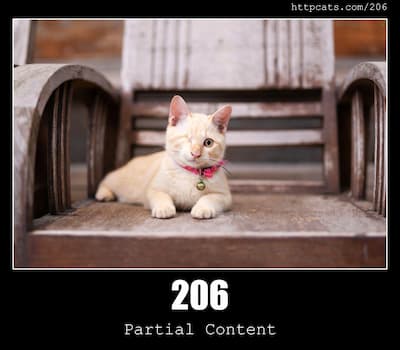206 Partial Content 