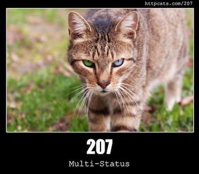 207 Multi-Status & Cats