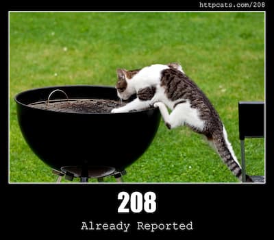 208 Already Reported & Cats