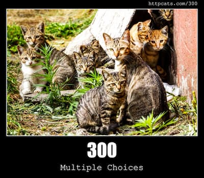 300 Multiple Choices & Cats