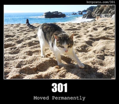 301 Moved Permanently & Cats