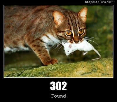 302 Found & Cats