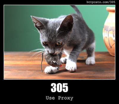 305 Use Proxy