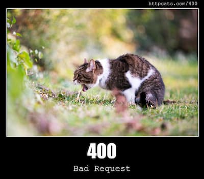 400 Bad Request & Cats