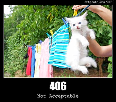 406 Not Acceptable & Cats