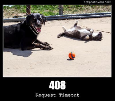 408 Request Timeout & Cats