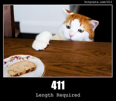 411 Length Required & Cats