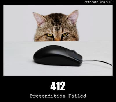 412 Precondition Failed & Cats