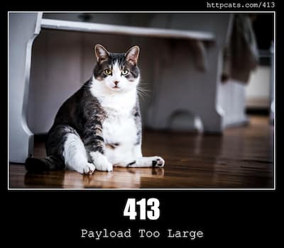 413 Payload Too Large