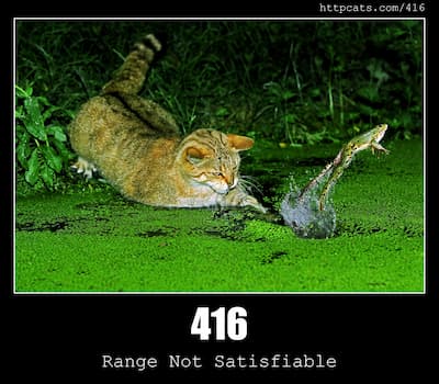 416 Range Not Satisfiable & Cats