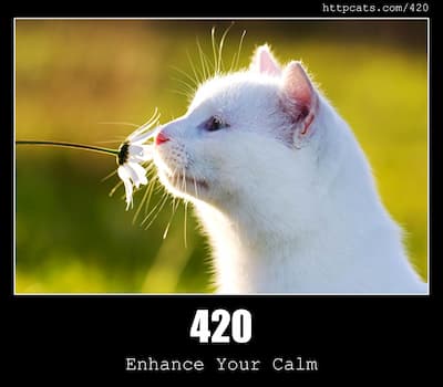 420 Enhance your calm & Cats