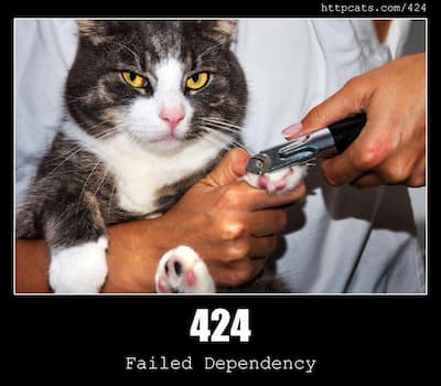 424 Failed Dependency & Cats