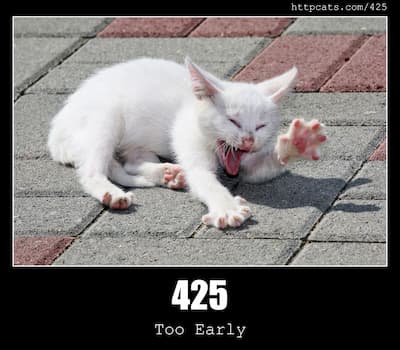 425 Too Early & Cats